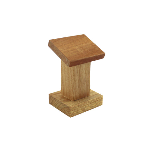 Synagogue and the Upper Room - NEW